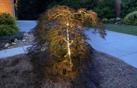 Small outdoor Lighting for Landscape Small outdoor Lighting for Landscape