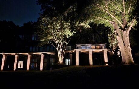 20230727_222848 tree lighting