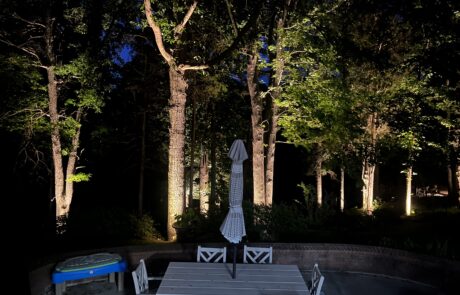 717A5471-3073-42D2-A6DE-448C4A5FCF61 patio