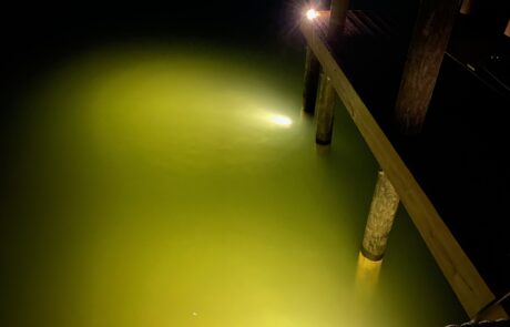 IMG_1421 pool outdoor