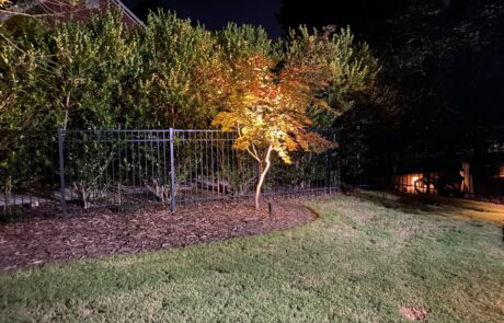 IMG_1438 Outdoor lighting