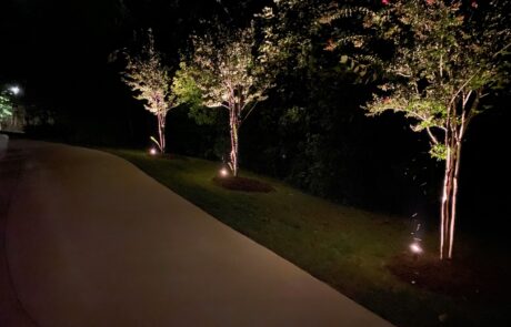 IMG_1582 light outdoor new