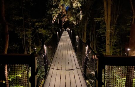 IMG_1660 outdoor light 5