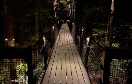 IMG_1661 outdoor light 4