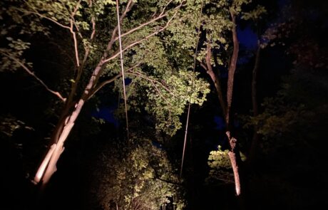 IMG_1662 outdoor light 4