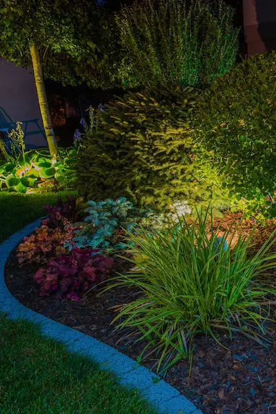 Elegant Garden Illumination Backyard Outdoor Lighting